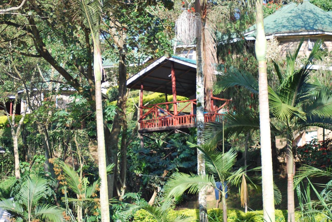 Crater Bay Cottages Kabale Exterior photo